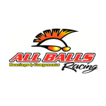 ���������� ������ All Balls 25-1808
