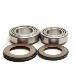 ���������� ������� ������� Bearing Worx SBK10002