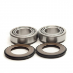 ���������� ������� ������� Bearing Worx SBK10003